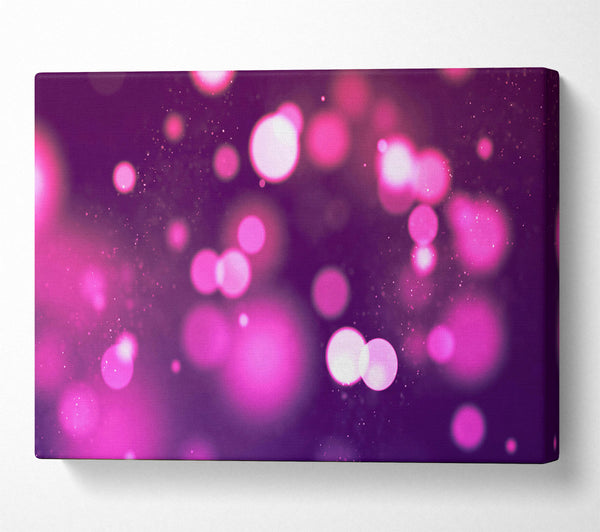 Fuchsia Bokeh Dreams