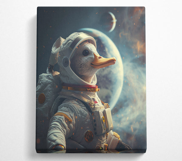 Duck In Space