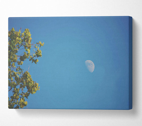 Blue Sky Crescent Moon