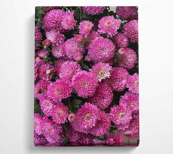 Pink Chrysanthemum Bouquet