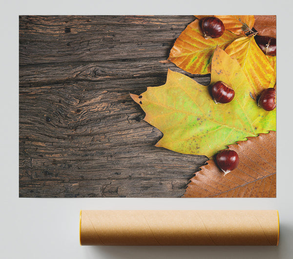 Brown Autumn Leaves