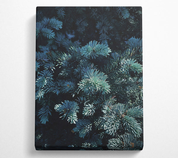 Teal Evergreen Embrace