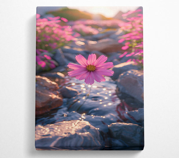 Pink Bloom Over Stream