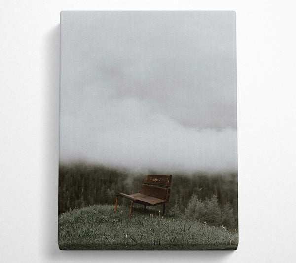 Brown Bench In The Mist.