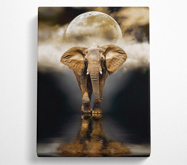 Elephant Moon