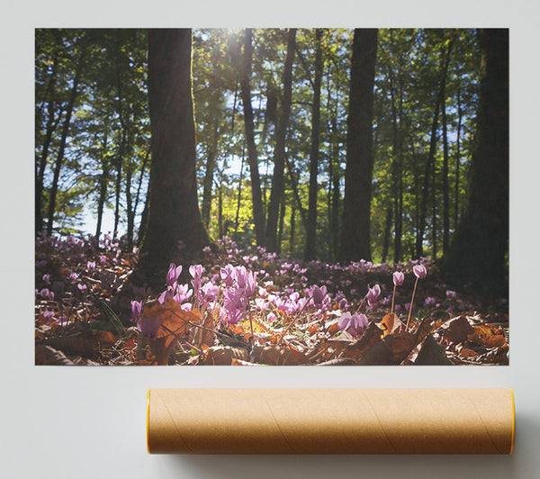 Purple Forest Floor