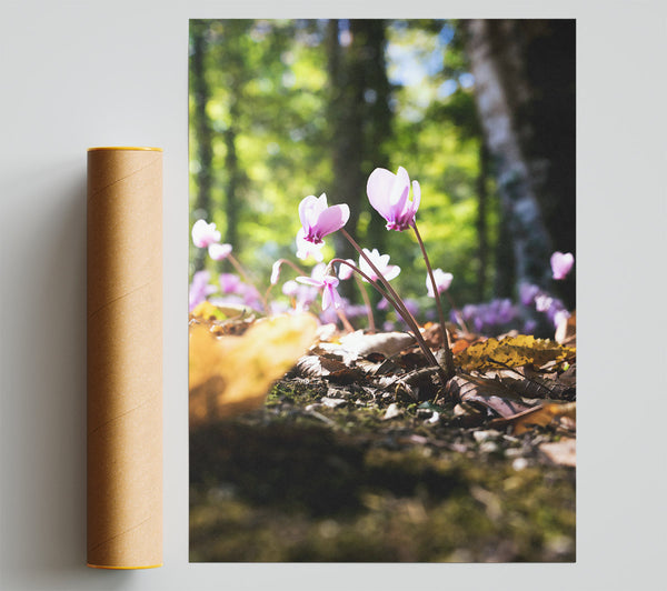 Pink Forest Flowers