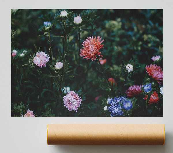 Pink Blooms In Green