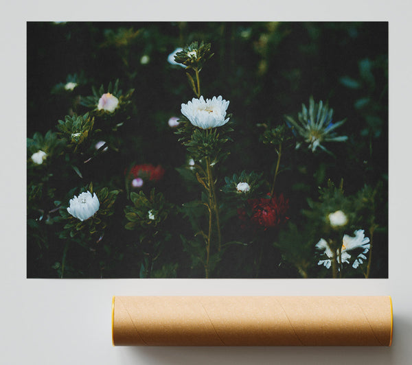 White Blooms In The Dark Green