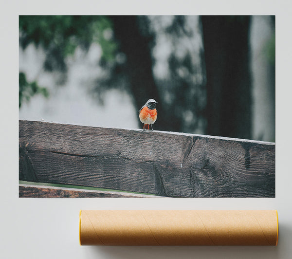 Red Bird On Wood