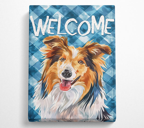 Blue Welcome Collie