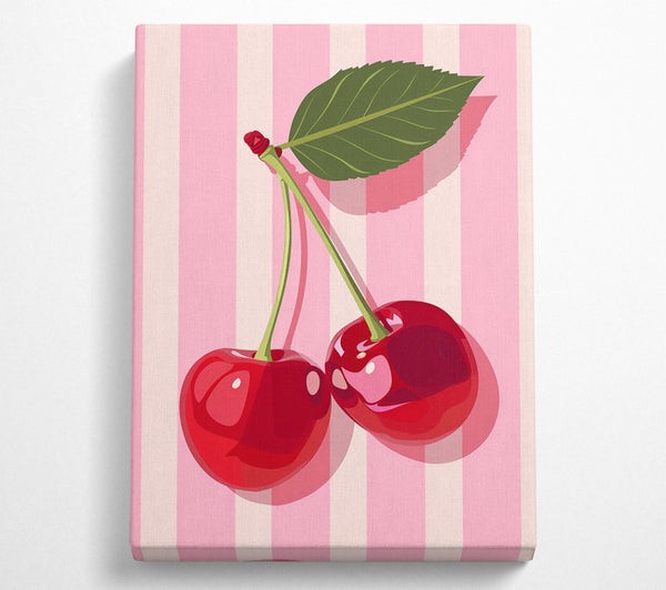 Pink Stripe Cherries