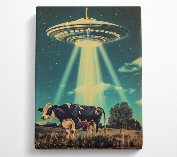 Teal Cow Abduction