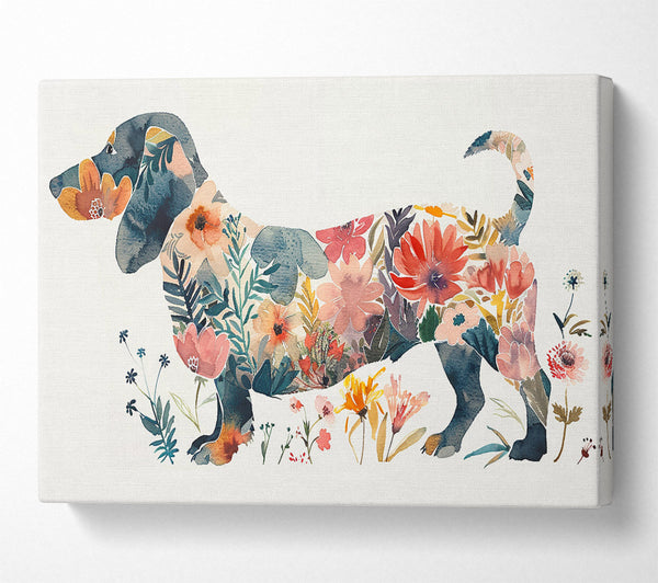 Flower Dachshund