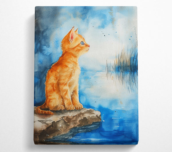 Orange Cat By The Water