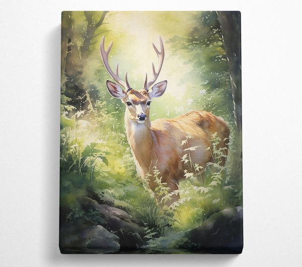 Golden Deer In The Woods