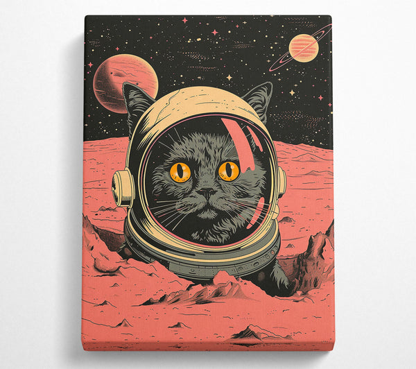 Red Cat Astronaut