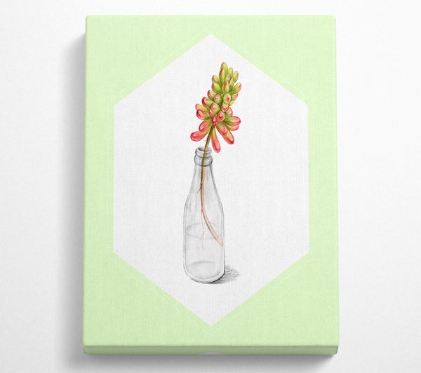 Flower In A Bottle