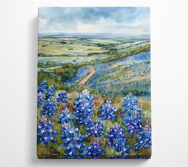 Bluebonnets And The Road Ahead.