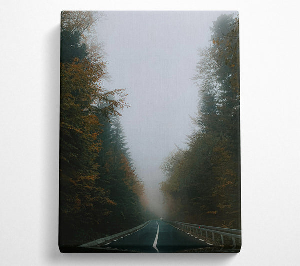 Grey Foggy Road