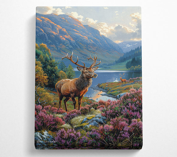 Purple Mountain Stag