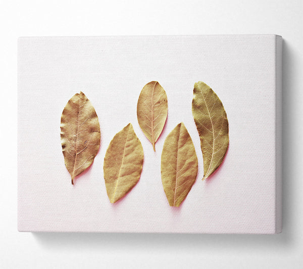 Golden Bay Leaves Trio