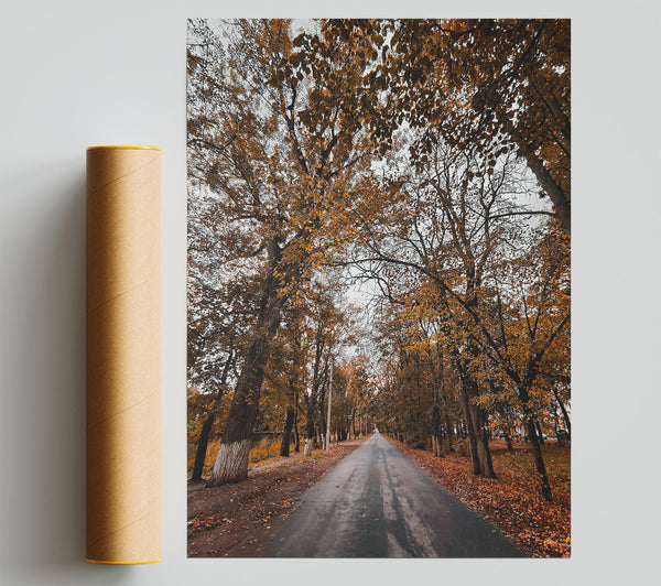 Golden Autumn Road