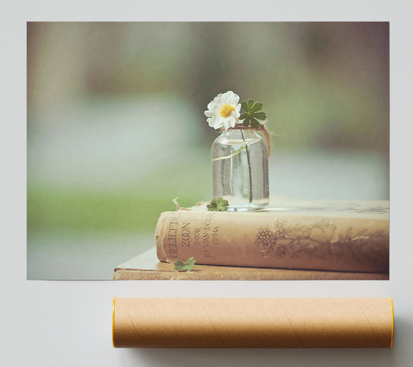 Pale Flower On Books