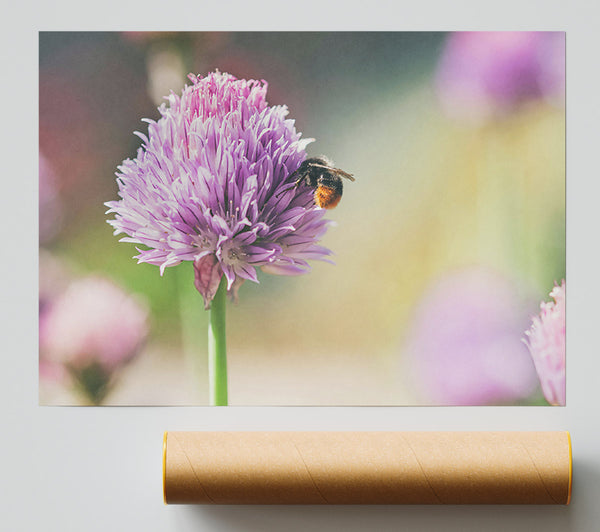 Purple Bloom Buzzing Bee