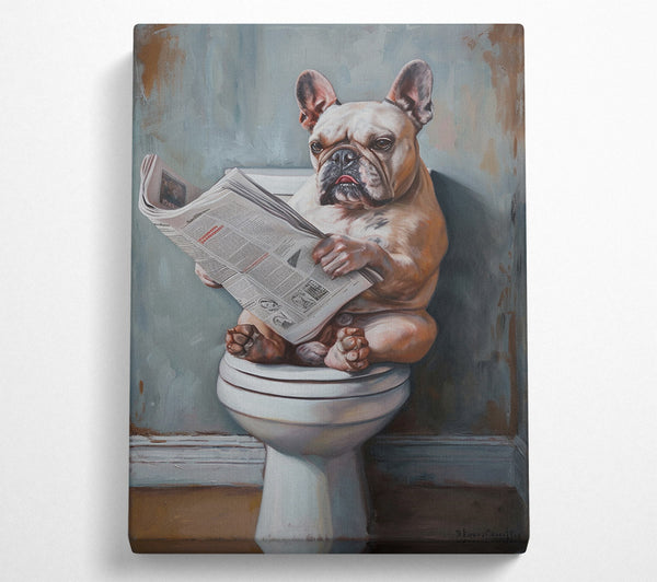 French Bulldog On The Toilet