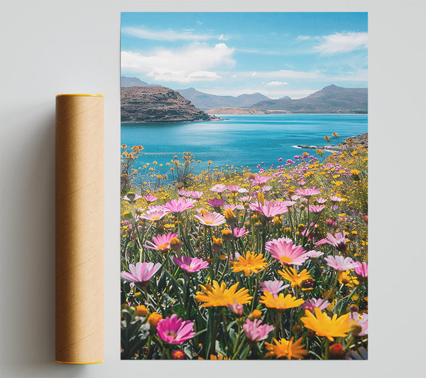 Blue Sky Wildflowers