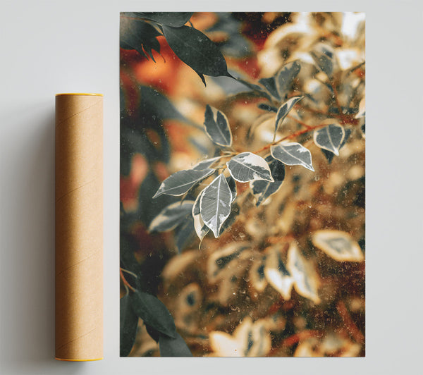 Golden Leaves Through Glass