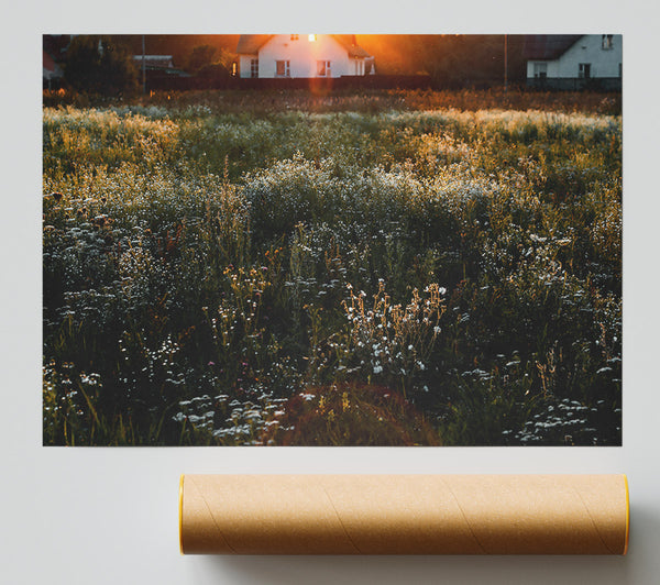 Golden Dewy Field