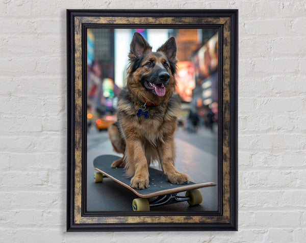 German Shepherd On A Skateboard