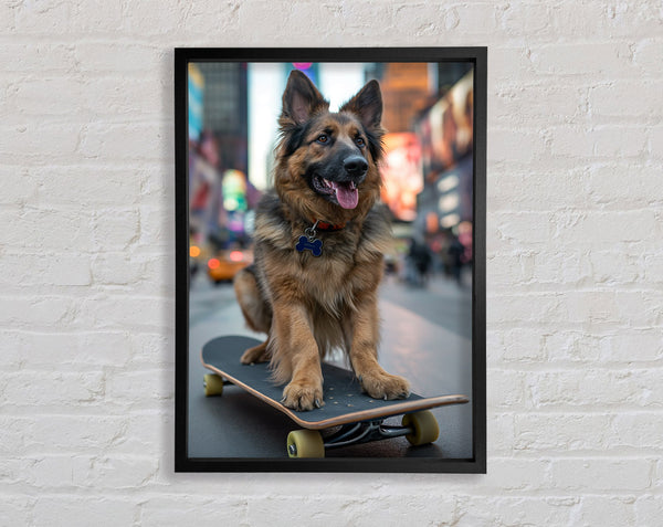 German Shepherd On A Skateboard