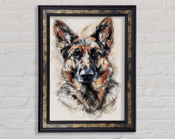 German Shepherd Portrait