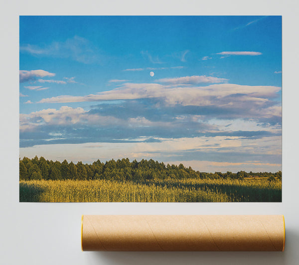 Blue Skies And Golden Fields