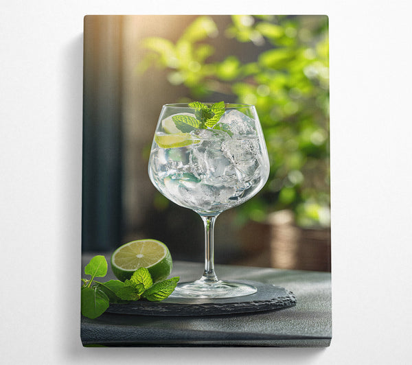 Gin And Tonic Drink