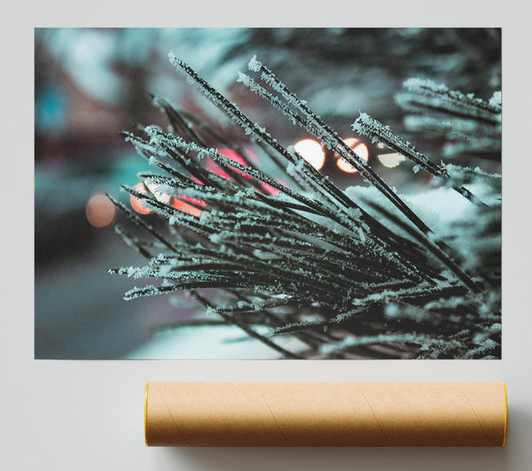 Blue Frosted Branches