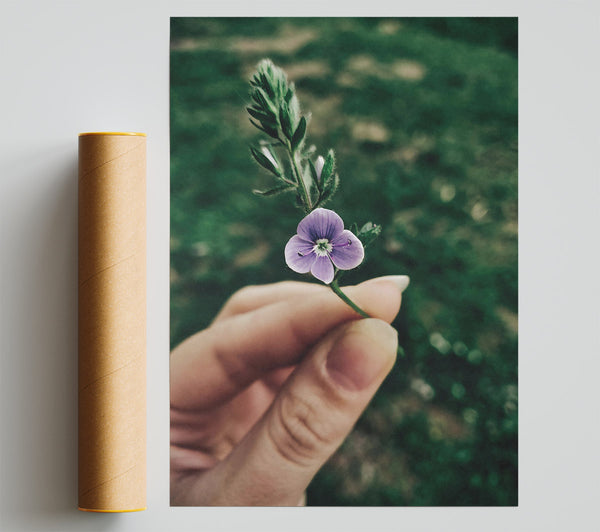 Purple Wildflower Bloom