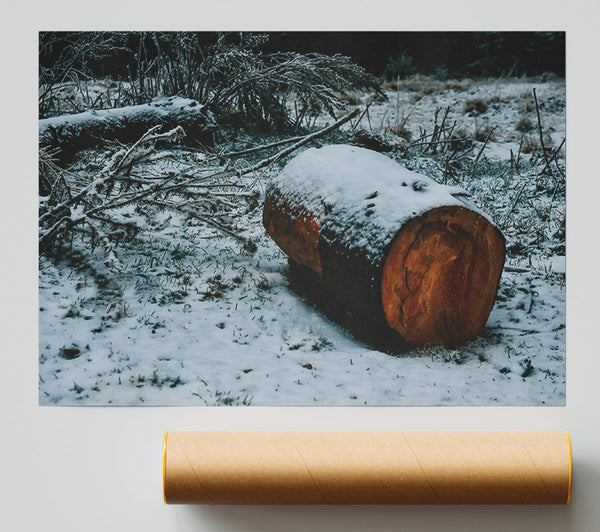 Brown Log In Snowfall