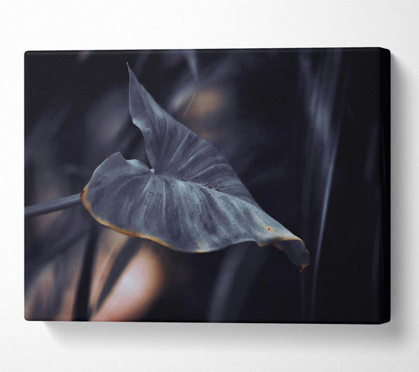 Dusky Grey Leaf