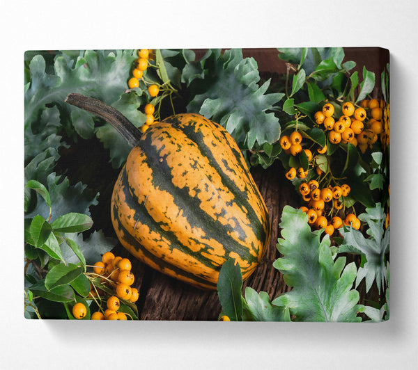 Golden Striped Gourd