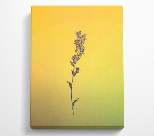 Yellow Stem Silhouette