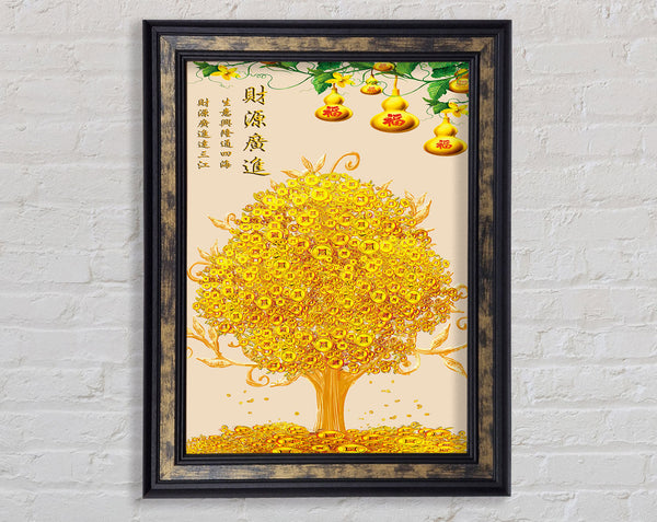 Gold Coin Tree  Plant