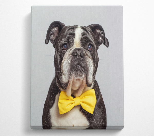 Yellow Bowtie Bulldog