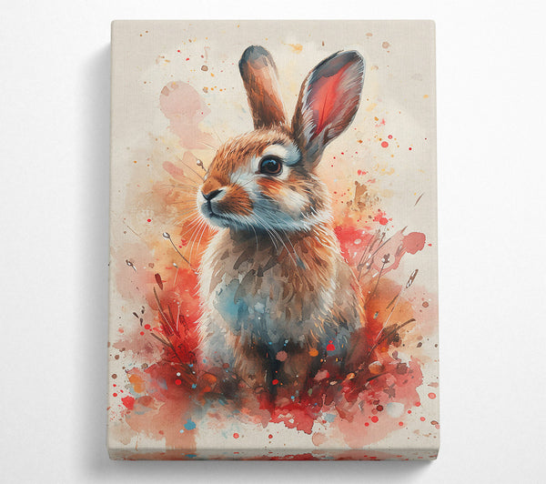 Red-Splashed Bunny