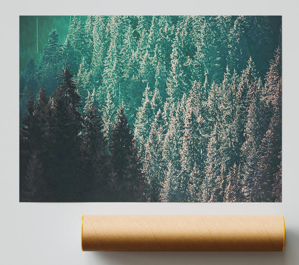 Teal Forest Dreams