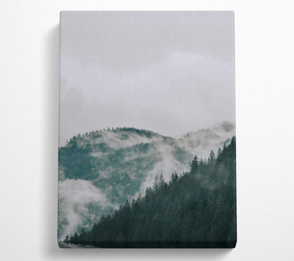 Misty Green Mountainscape