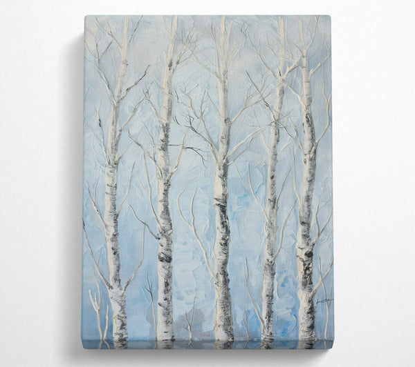 Pale Blue Birch Grove